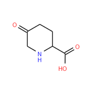 2-Piperidinecarboxylic acid, 5-oxo-