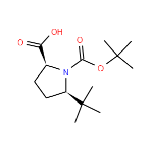 (2S,5R)-N-Boc-5-tert-butylpyrrolidine-2-carboxylic acid
