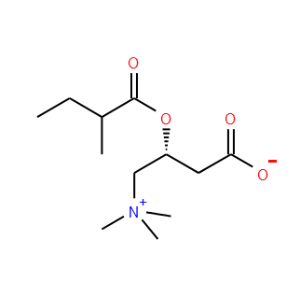 3-[(2-methylbutanoyl)oxy]-4-(trimethylammonio)butanoate