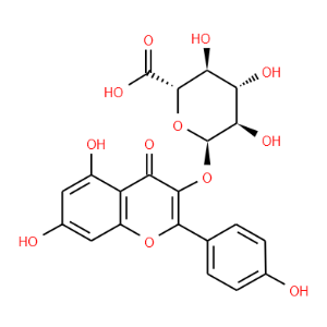 -D-Glucopyranosiduronic acid,5,7-dihydroxy-2-(4-hydroxyphenyl)-4-oxo-4H-1-benzopyran-3-yl - Click Image to Close