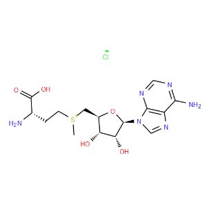 S-(5'-Adenosyl)-L-methionine chloride - Click Image to Close