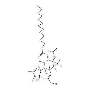 12-O-tetradecanoyl phorbol-13-acetate - Click Image to Close