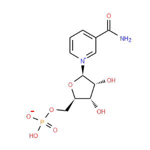 beta-Nicotinamide mononucleotide - Click Image to Close