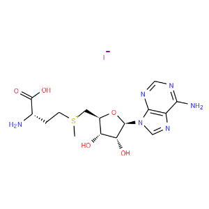 S-Adenosyl-L-Methionine iodide salt - Click Image to Close