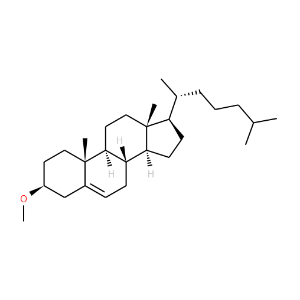3-Methoxy-10,13-dimethyl-17-(6-methylheptan-2-yl)-2,3,4,7,8,9,11,12,14,15,16,17-dodecahydro-1H-cyclopenta[a]phenanthrene - Click Image to Close
