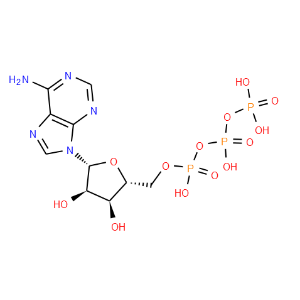 Adenosine 5'-triphosphate - Click Image to Close