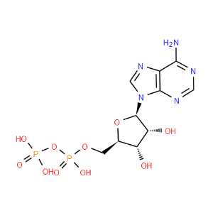 Adenosine 5'-diphosphate - Click Image to Close
