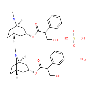 Hyoscyamine sulfate hydrate - Click Image to Close
