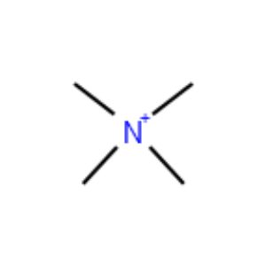 Tetramethylammonium - Click Image to Close
