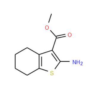 methyl 2-amino-4,5,6,7-tetrahydrobenzo thiophene-3-carboxylate