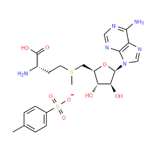 S-Adenosyl-L-methionine tosylate - Click Image to Close