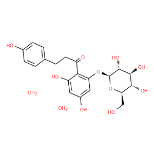 Phloridzin dihydrate - Click Image to Close