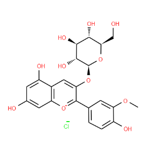 Peonidin 3-Glucoside Chloride - Click Image to Close