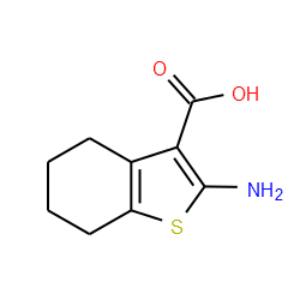 2-Amino-4,5,6,7-tetrahydrobenzo[b]thiophene-3-carboxylic acid - Click Image to Close