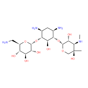 Gentamicin B - Click Image to Close