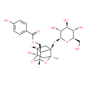 Oxypaeoniflorin - Click Image to Close