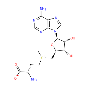 S-Adenosyl-L-Methtonine - Click Image to Close