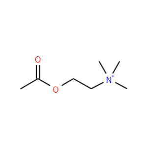 (2-Acetoxyethyl)trimethylammonium - Click Image to Close