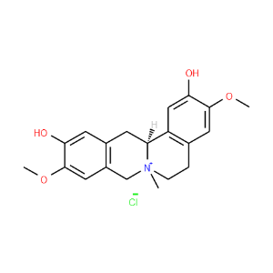 Phellodendrine chloride - Click Image to Close