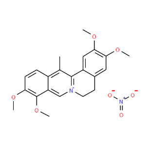 Dehydrocorydaline nitrate - Click Image to Close