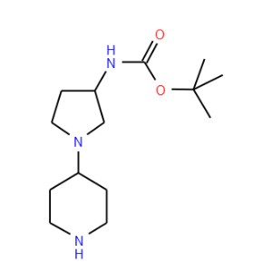 (1-Piperidin-4-yl-pyrrolidin-3-yl)-carbamic acid tert-butyl ester - Click Image to Close