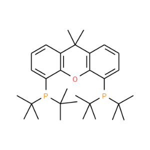 9,9-Dimethyl-4,5-bis(di-tert-butylphosphino)xanthene - Click Image to Close