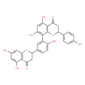 Tetrahydroamentoflavone - Click Image to Close