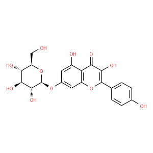 Kaempferol-7-O-beta-D-glucopyranoside - Click Image to Close