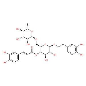 Forsythoside A - Click Image to Close