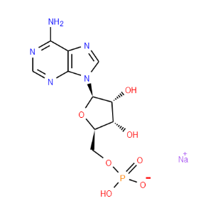 Adenosine 5'-monophosphatesodiumsalt - Click Image to Close