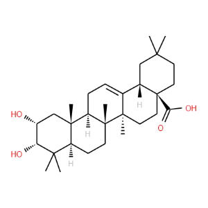 2,3-Dihydroxy-12-oleanen-28-oic acid - Click Image to Close