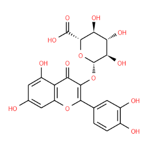 Quercetin-3-O-glucuronide - Click Image to Close