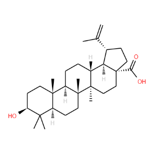3-Epibetulinic Acid - Click Image to Close