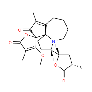 Protostemotinine - Click Image to Close