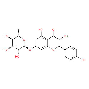 Kaempferol 7-O-rhamnoside - Click Image to Close