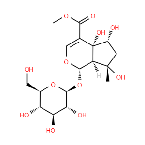 6beta-Hydroxyipolamiide