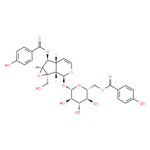 6'-O-p-Hydroxybenzoylcatalposide