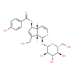6-O-p-Hydroxybenzoylaucubin - Click Image to Close