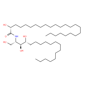 2-(2'-Hydroxytetracosanoylamino)-octadecane-1,3,4-triol - Click Image to Close