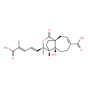 Demethoxydeacetoxypseudolaric acid B - Click Image to Close