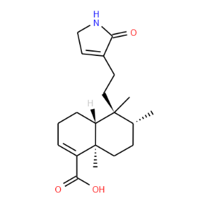Echinophyllin C - Click Image to Close