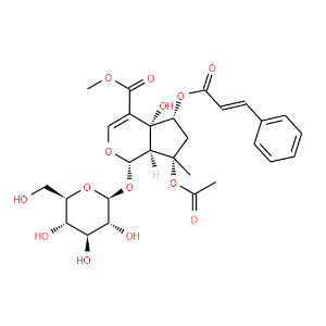 6-O-trans-Cinnamoylphlorigidoside B - Click Image to Close
