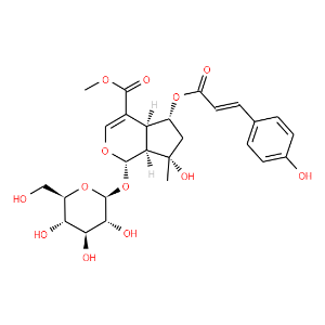 6-O-trans-p-Coumaroylshanzhiside methyl ester - Click Image to Close