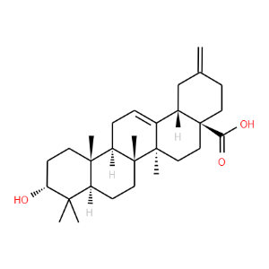 3alpha-Akebonoic acid - Click Image to Close