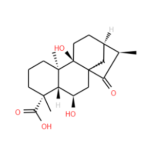 Pterisolic acid D - Click Image to Close