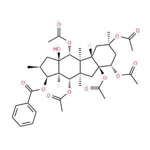 5,8,9,10,14-Pentaacetoxy-3-benzoyloxy-15-hydroxypepluane - Click Image to Close