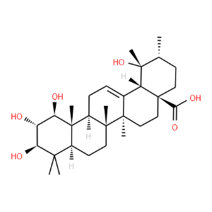 1,2,3,19-Tetrahydroxy-12-ursen-28-oic acid - Click Image to Close