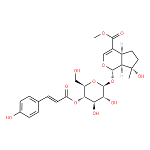 4'-O-trans-p-Coumaroylmussaenoside - Click Image to Close