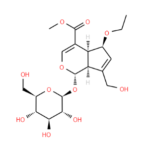 6-Ethoxygeniposide - Click Image to Close