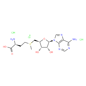 S-(5?-Adenosyl)-L-methionine chloride dihydrochloride - Click Image to Close